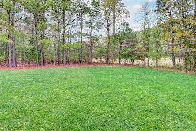 109 Van Curen Ct, Yorktown, VA 23693 - view of yard