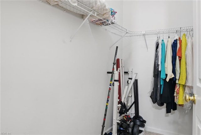 view of walk in closet