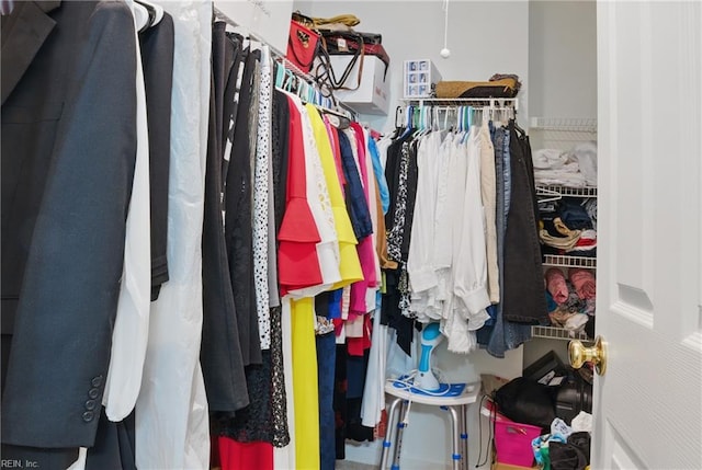 view of spacious closet