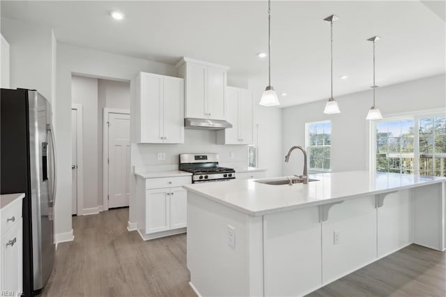 kitchen featuring white cabinets, appliances with stainless steel finishes, a sink, light wood-type flooring, and under cabinet range hood