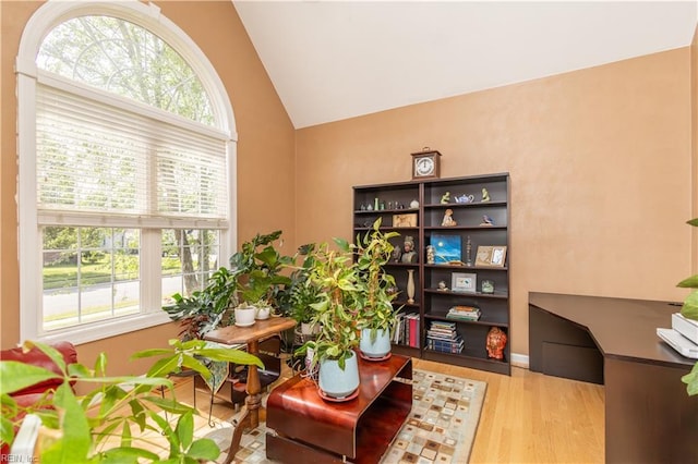 living area with a healthy amount of sunlight, high vaulted ceiling, and wood finished floors