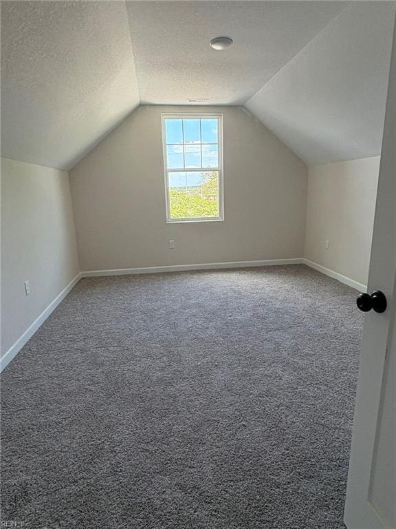 14307 Old Courthouse Way Unit G, Newport News, VA 23602 - additional living space featuring lofted ceiling, carpet flooring, a textured ceiling, and baseboards