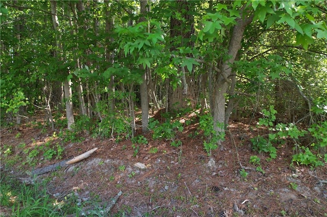 10AC Dutch Rd, Suffolk, VA 23437