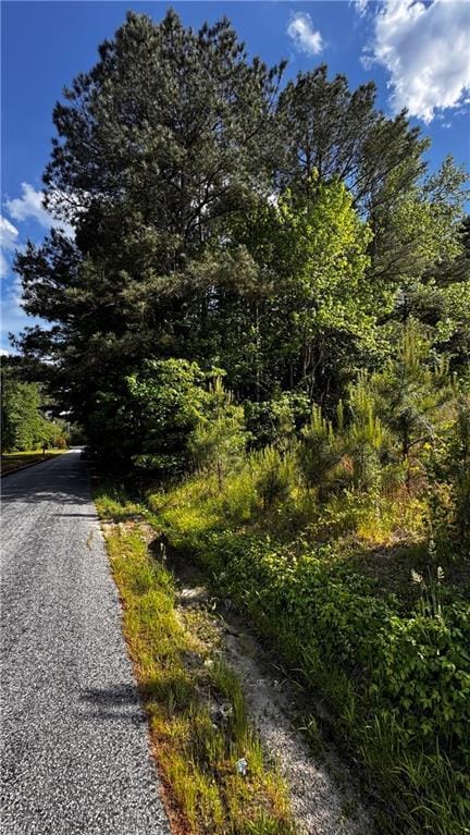 10AC Dutch Rd, Suffolk, VA 23437