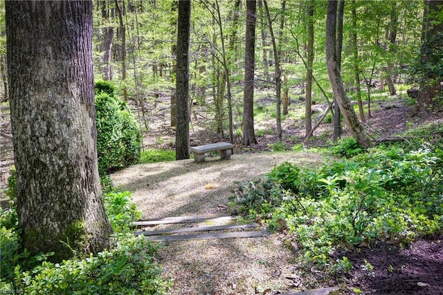 view of yard featuring a forest view