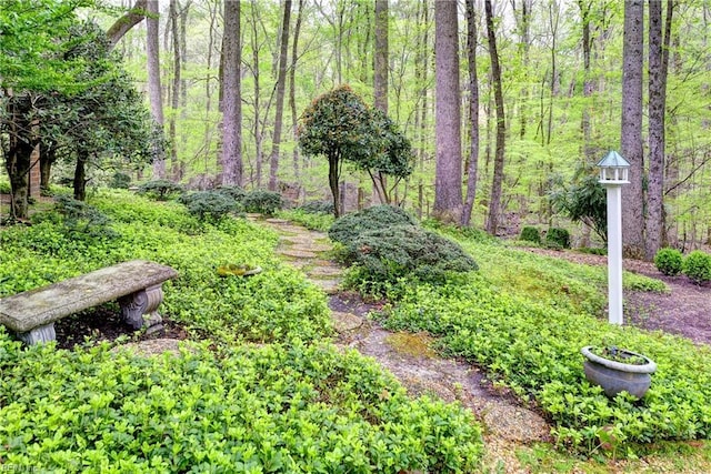 view of yard featuring a forest view