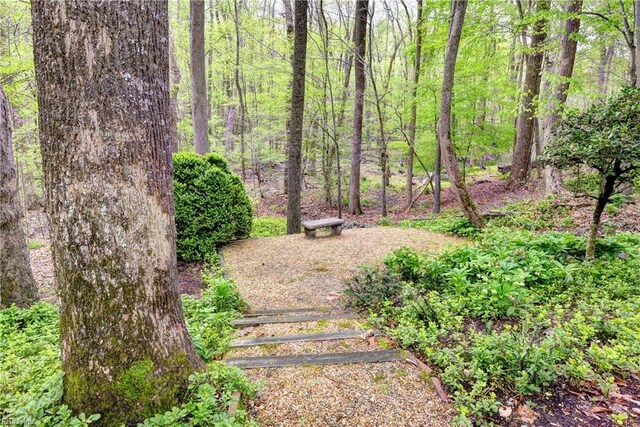view of yard featuring a view of trees