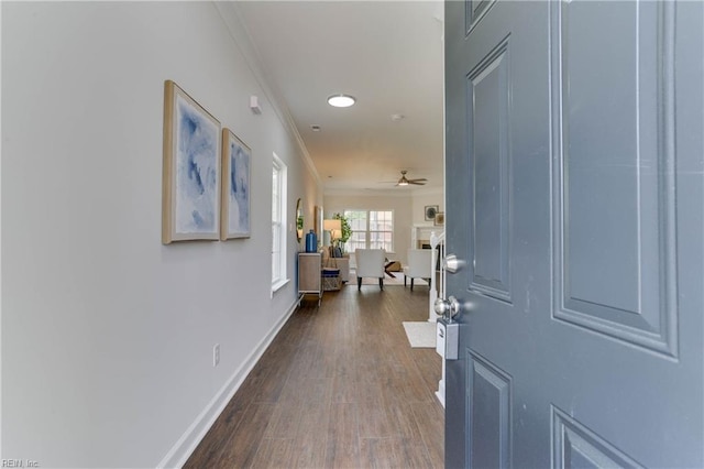 corridor with crown molding, baseboards, and dark wood-style floors