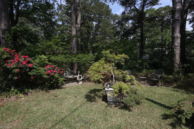 8562 Executive Dr Unit B2, Norfolk, VA 23503 - view of yard