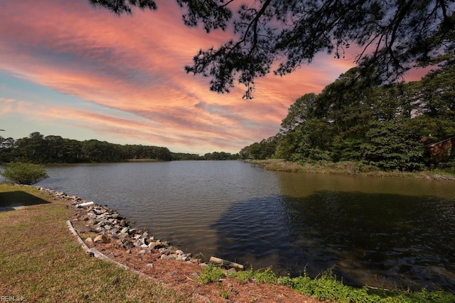 8562 Executive Dr Unit B2, Norfolk, VA 23503 - view of water feature