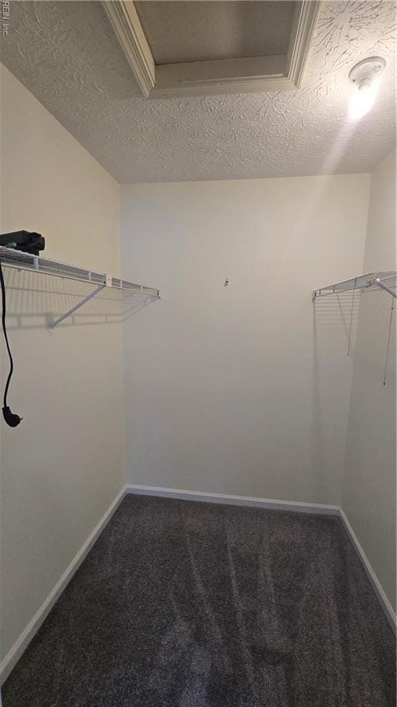 walk in closet with carpet floors