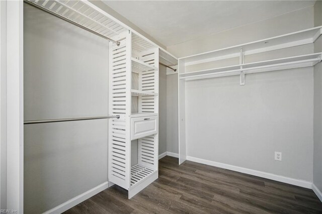 3612 Purebred Dr, Virginia Beach, VA 23453 - walk in closet featuring wood finished floors