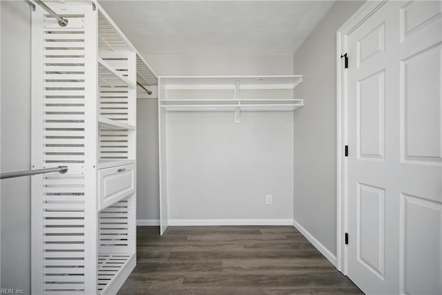 3612 Purebred Dr, Virginia Beach, VA 23453 - spacious closet featuring dark wood-style flooring