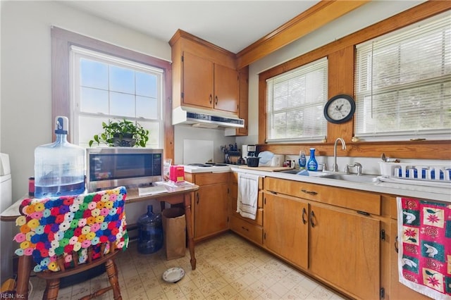 kitchen with light countertops, stainless steel microwave, under cabinet range hood, and a sink