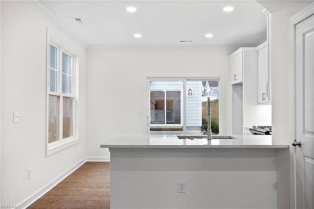 kitchen featuring crown molding, a sink, white cabinets, and a healthy amount of sunlight