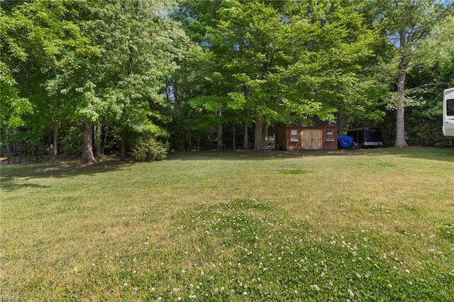 view of yard with an outdoor structure and a shed