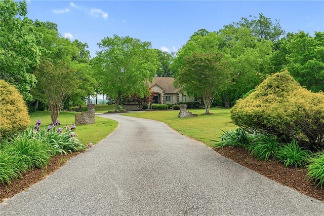 view of road with aphalt driveway