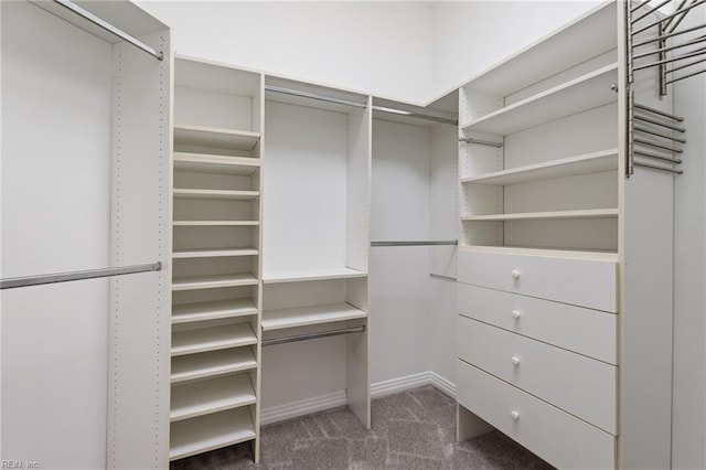 spacious closet featuring dark carpet