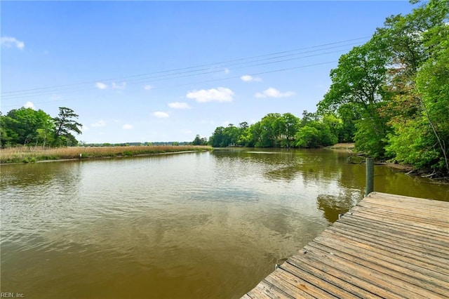 dock area featuring a water view