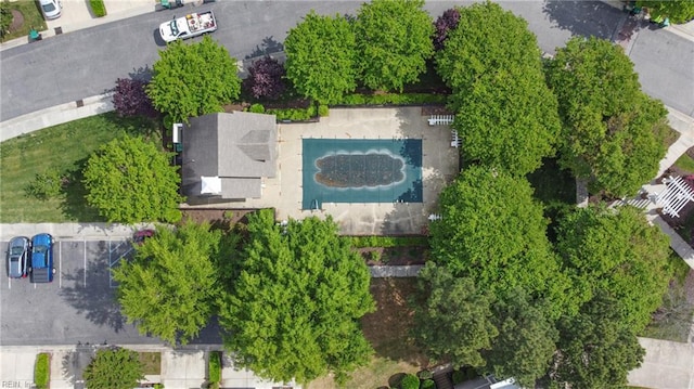 aerial view