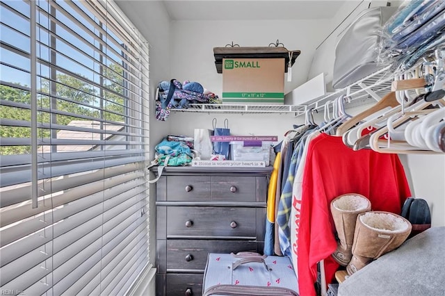 view of walk in closet