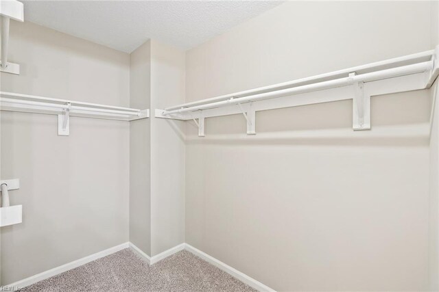 spacious closet with carpet floors