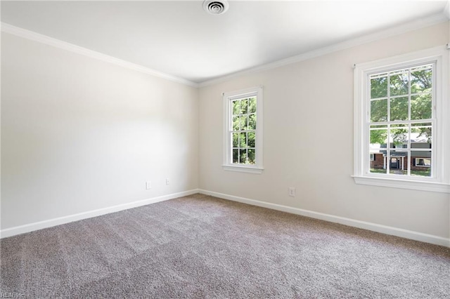 empty room with baseboards, ornamental molding, and a wealth of natural light