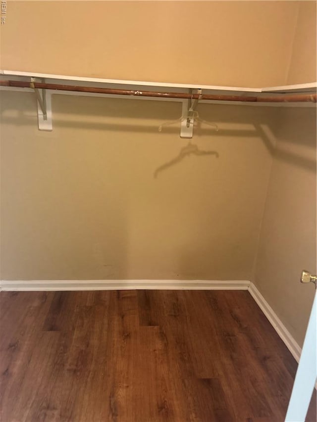 walk in closet featuring dark wood-type flooring