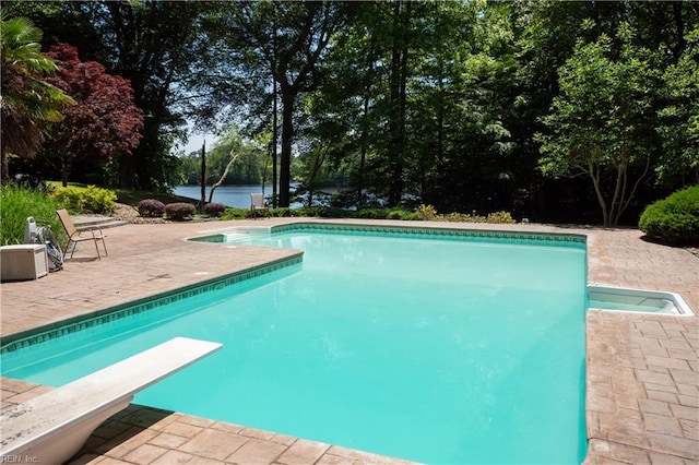 1263 Murphys Mill Rd, Suffolk, VA 23434 - outdoor pool featuring a patio, a water view, and a diving board