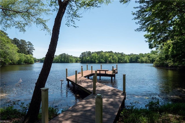 1263 Murphys Mill Rd, Suffolk, VA 23434 - dock area featuring a water view and a forest view