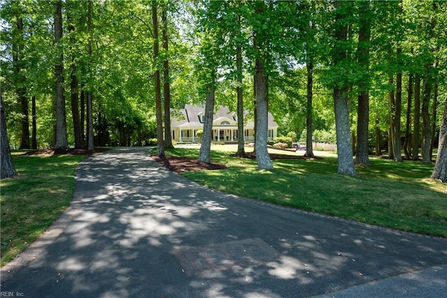 1263 Murphys Mill Rd, Suffolk, VA 23434 - exterior space featuring a front lawn and driveway