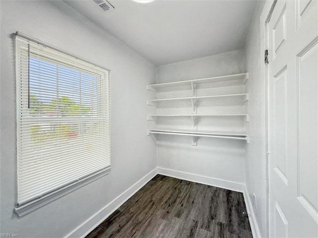 walk in closet featuring visible vents and dark wood-type flooring
