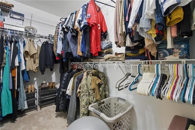 1728 Eleni Ct, Virginia Beach, VA 23453 - walk in closet featuring carpet floors