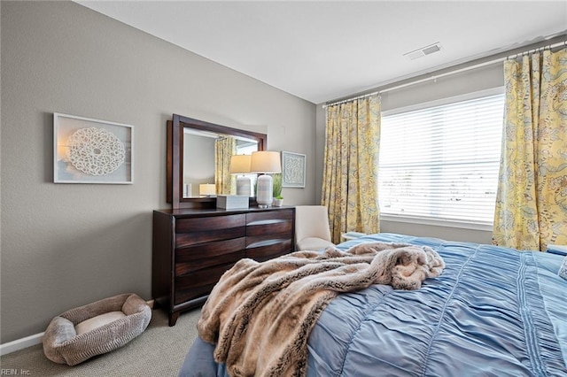 1728 Vankar Dr, Virginia Beach, VA 23456 - carpeted bedroom with baseboards and visible vents