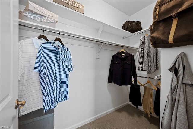 1728 Vankar Dr, Virginia Beach, VA 23456 - walk in closet with carpet floors
