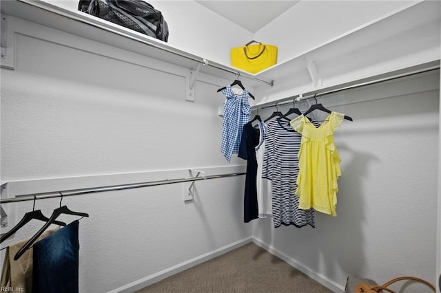 1728 Vankar Dr, Virginia Beach, VA 23456 - spacious closet with carpet floors