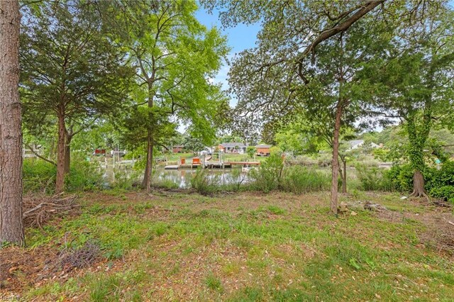 view of yard with a boat dock