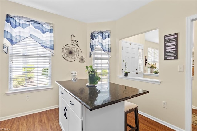 kitchen with plenty of natural light and wood finished floors