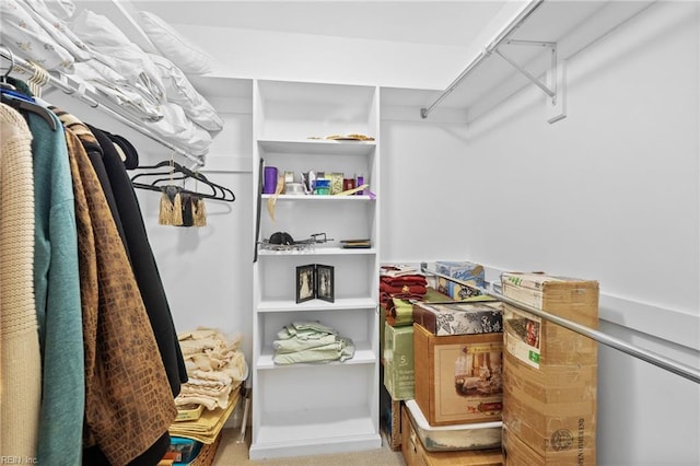 view of walk in closet