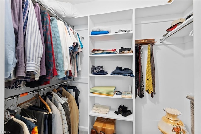 view of walk in closet