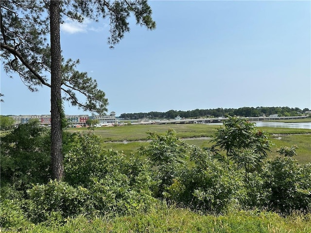 109 Willow Wood Ave, Smithfield, VA 23430 - view of yard with a water view