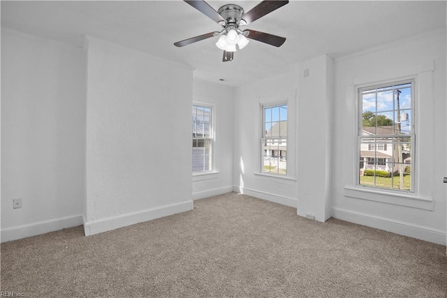 1125 Stewart St, Chesapeake, VA 23324 - empty room with carpet floors, ceiling fan, and a healthy amount of sunlight