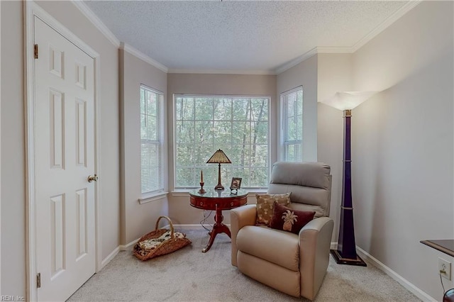 sitting room featuring baseboards, ornamental molding, carpet, and a textured ceiling