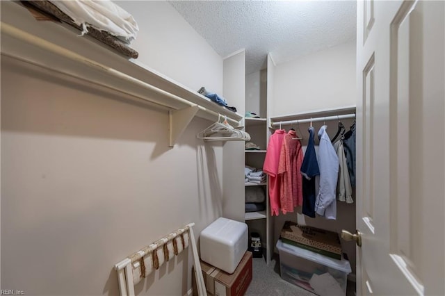 spacious closet featuring carpet