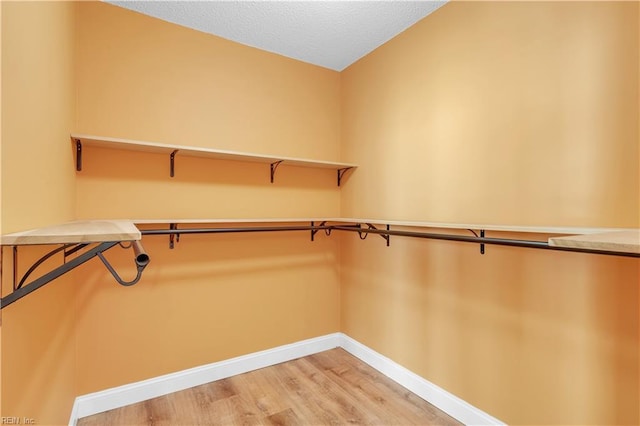 walk in closet with light wood finished floors