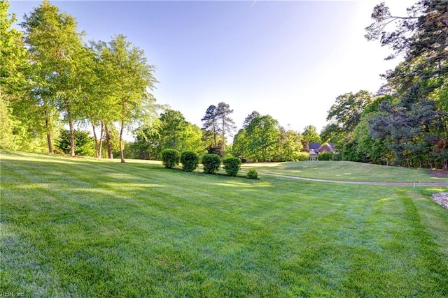 view of property's community with a yard