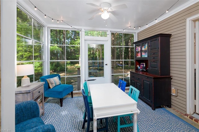 1130 Crystalwood Cir, Chesapeake, VA 23320 - sunroom featuring track lighting, a ceiling fan, and a healthy amount of sunlight