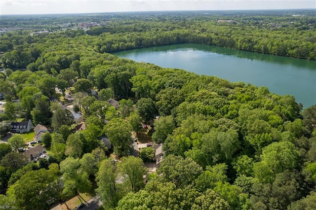 1130 Crystalwood Cir, Chesapeake, VA 23320 - aerial view featuring a water view and a view of trees