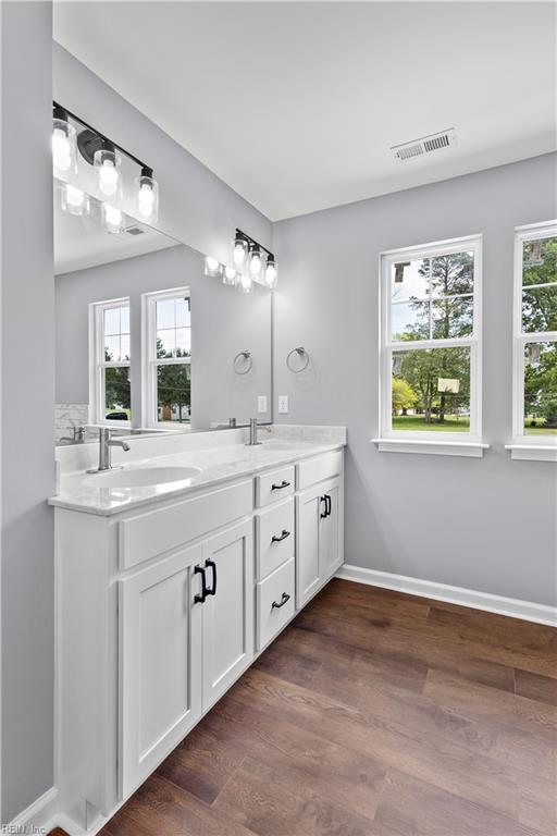 full bathroom with double vanity, visible vents, a wealth of natural light, and a sink