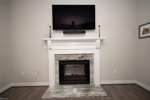 details featuring baseboards, wood finished floors, and a high end fireplace